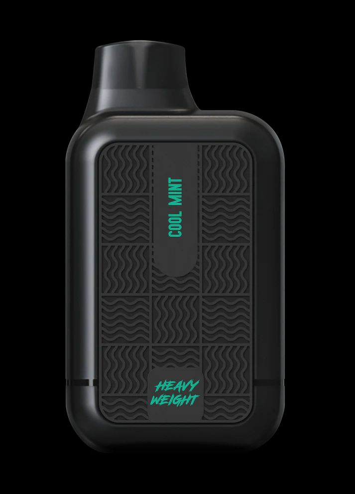 Tyson 2.0 Heavy Weight Disposable | 7000 Puff 15mL | 50mg Cool Mint