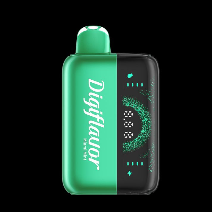 Geekbar Digi Flavor BRK 20K Disposable + Power Dock miami mint