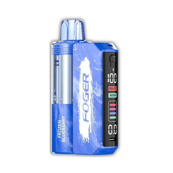 Foger Switch Pro Starter Kit 30K Disposable frozen blueberry