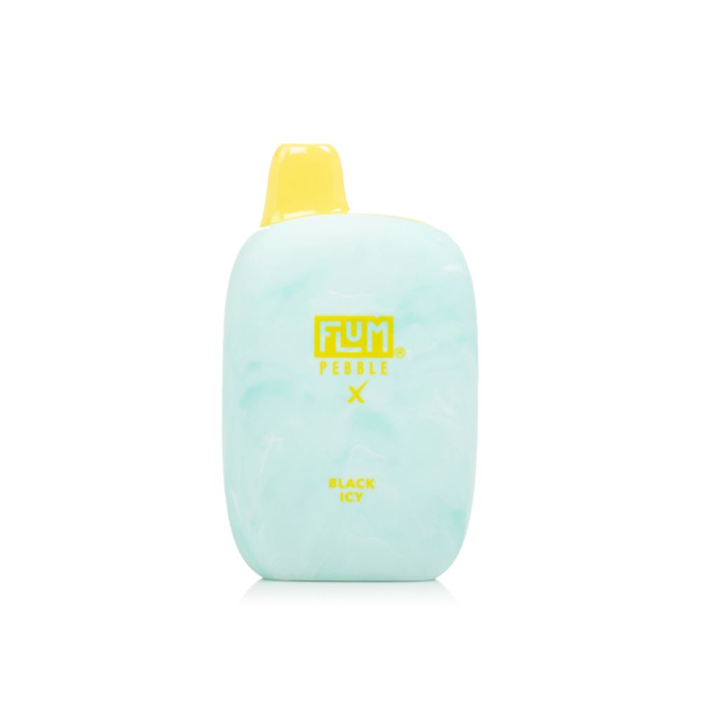 Flum Pebble Disposable | 6000 Puffs | 14mL Black Icy