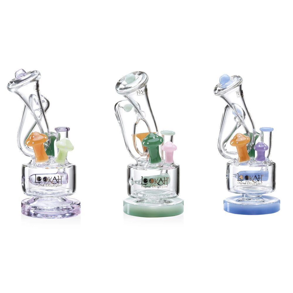 Lookah (Dab Rig) 9” Cute Recycler Fairy Mushroom Water Pipe Group Image