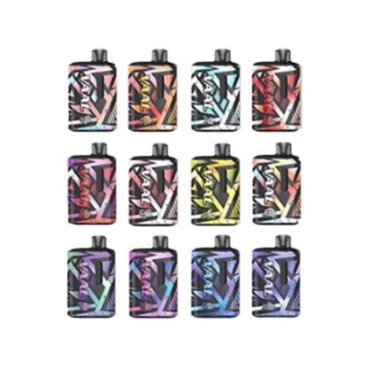 Vaal E5000 Disposable 5000 puffs | 12mL Group Photo