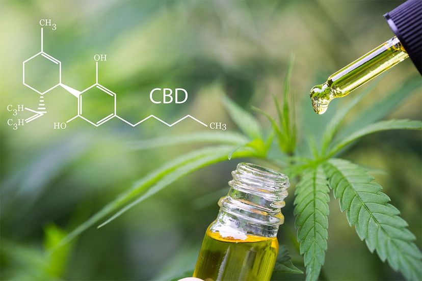 The Science of CBD: How It Works and Why It's Gaining Popularity